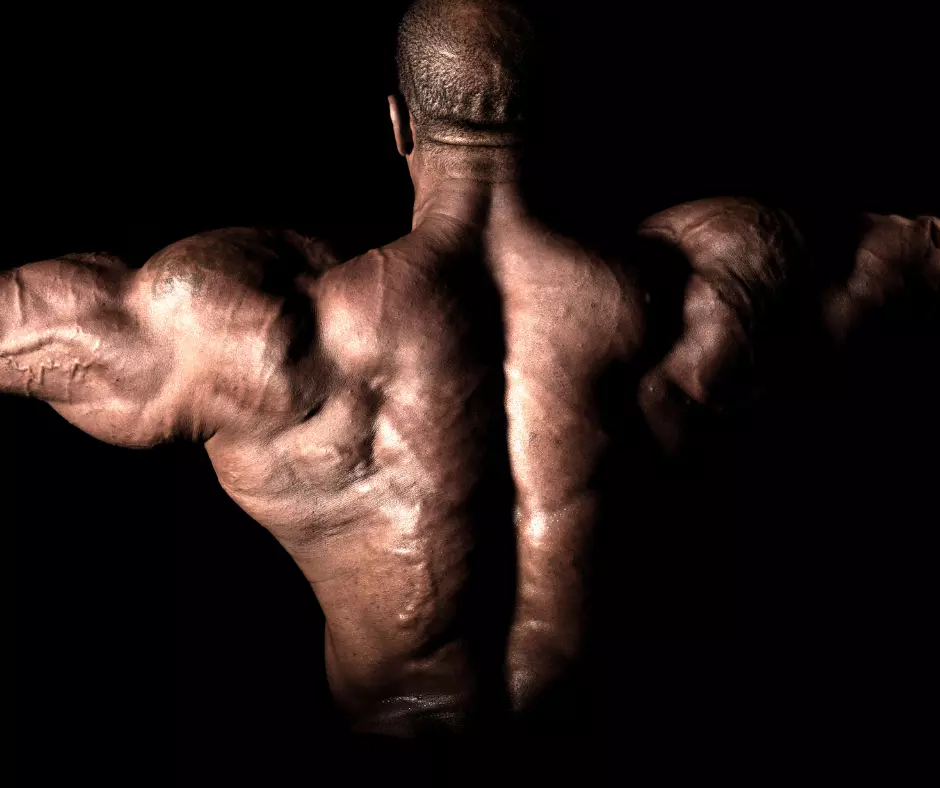 Motivationssprüche Bodybuilding: Kraft für Körper und Seele